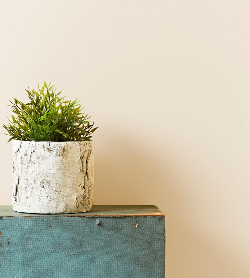 brune og neutrale farver